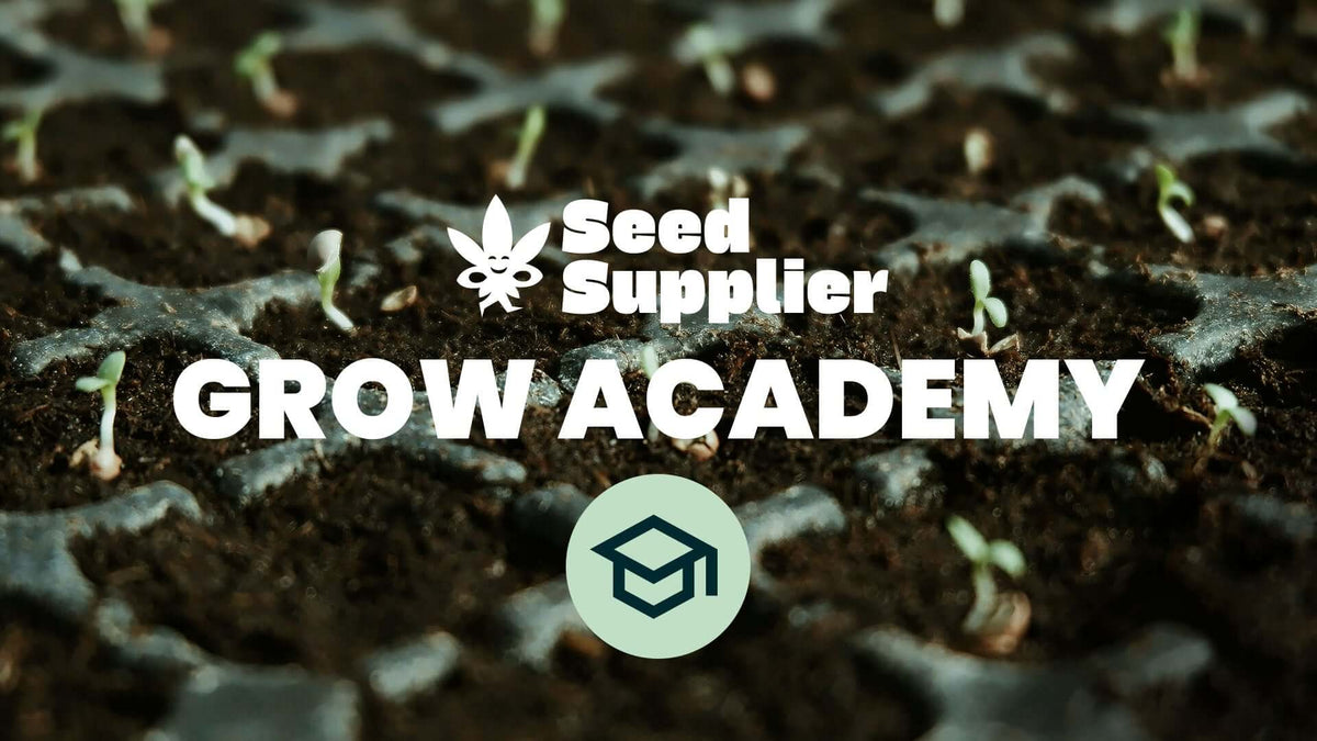 Seed Supplier Grow Academy