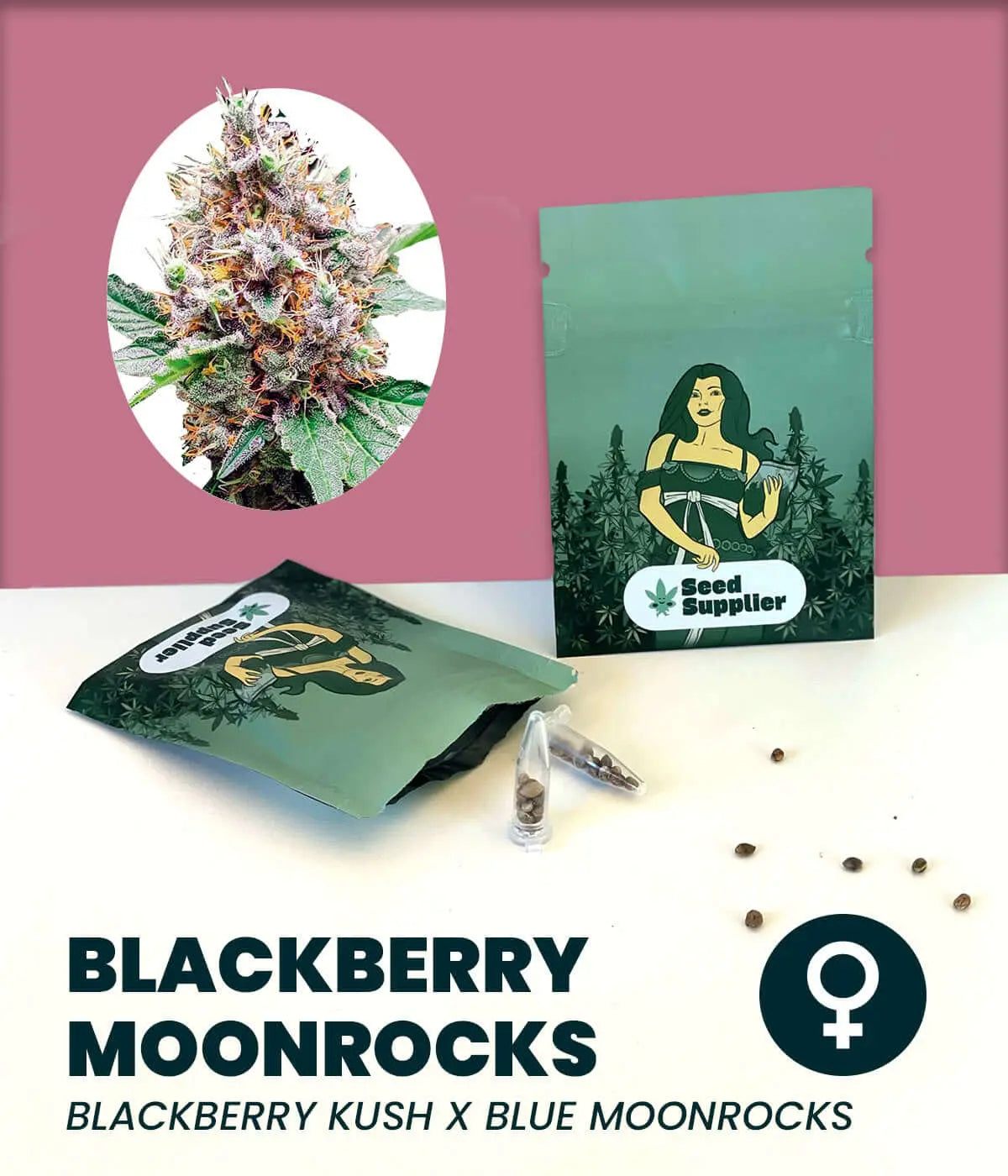 Blackberry Moonrocks Seed Supplier