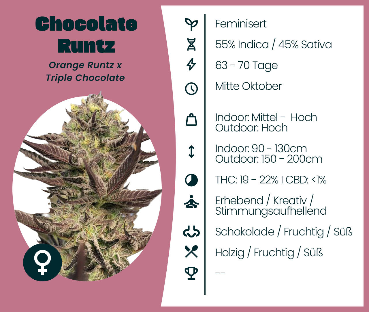 Chocolate Runtz