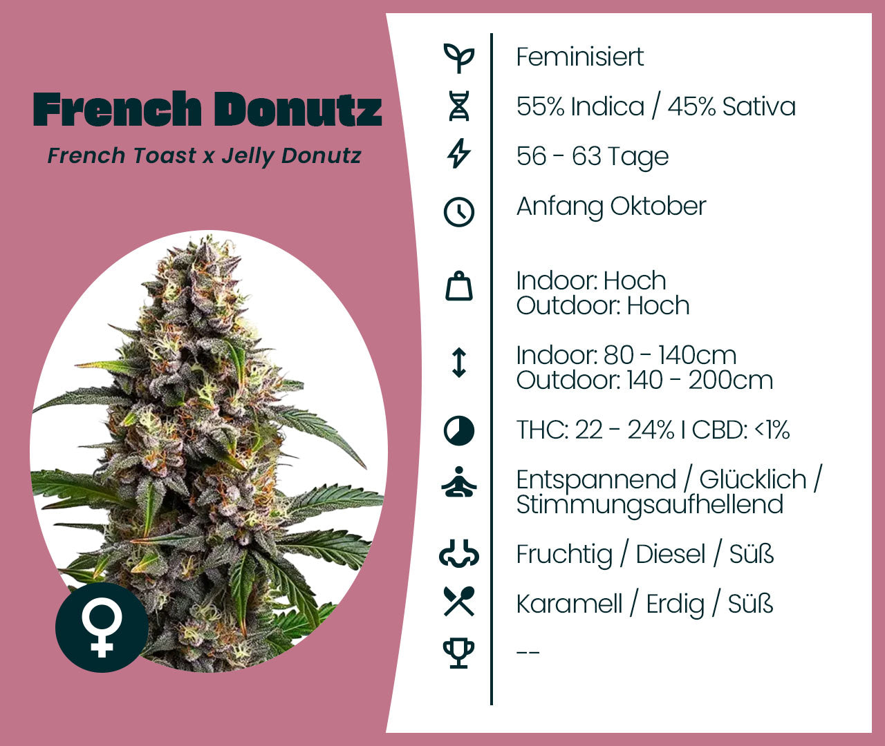 French Donutz