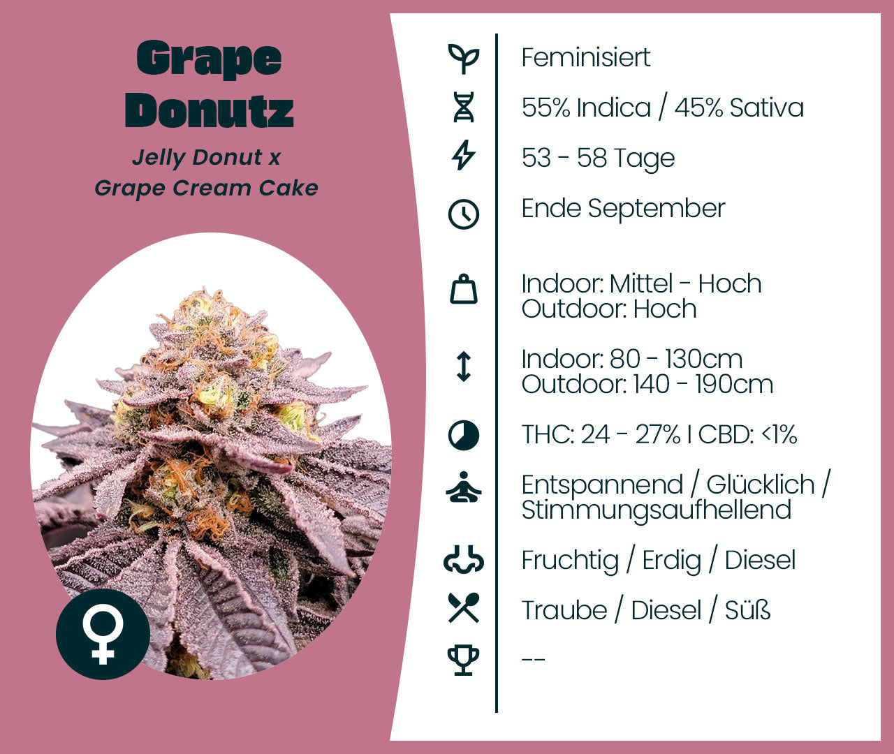 Grape Donutz