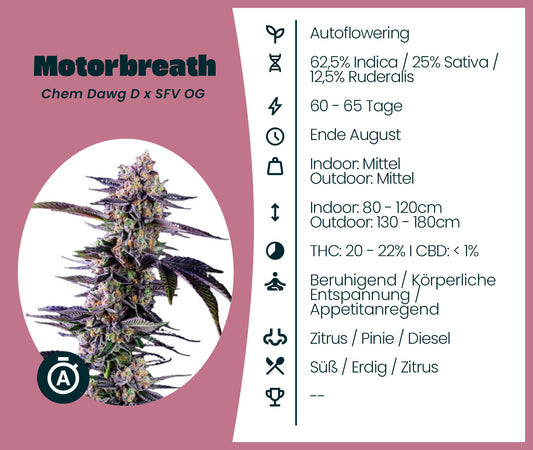 Motorbreath Automatic