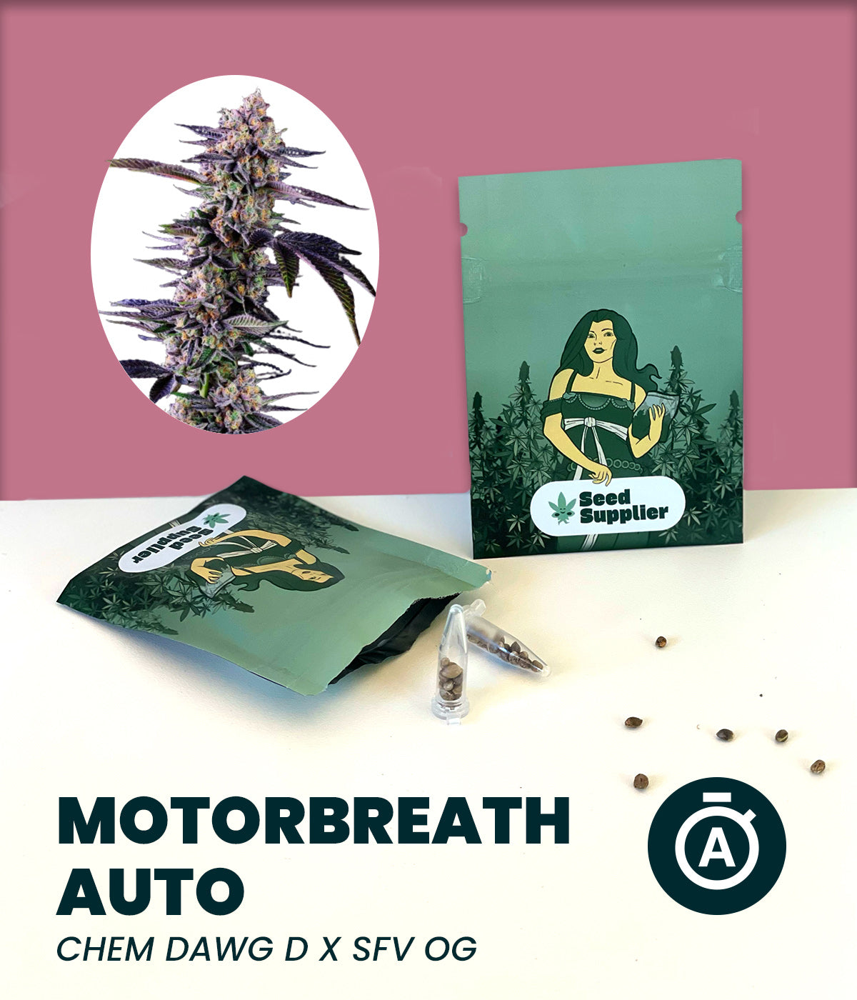 Motorbreath Automatic