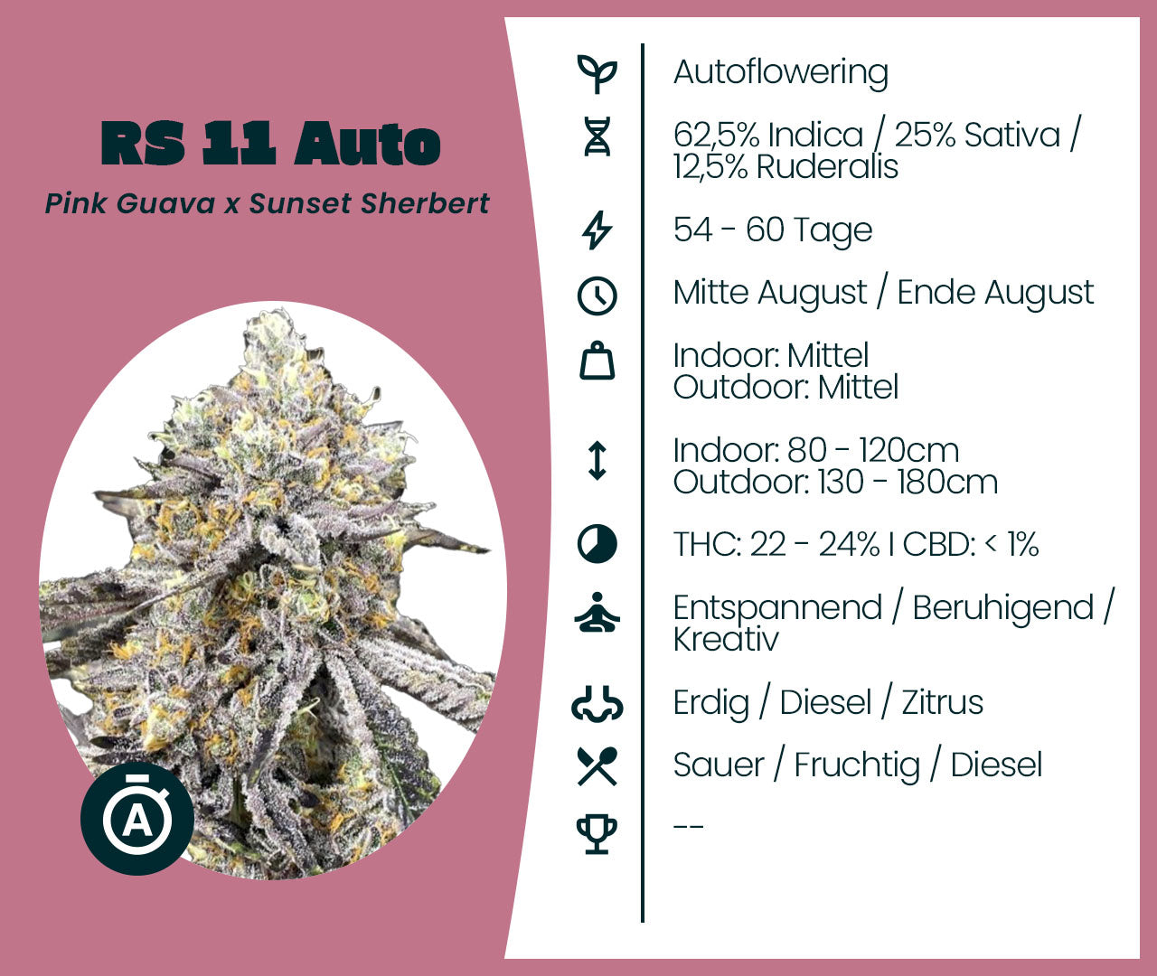 RS11 Automatic