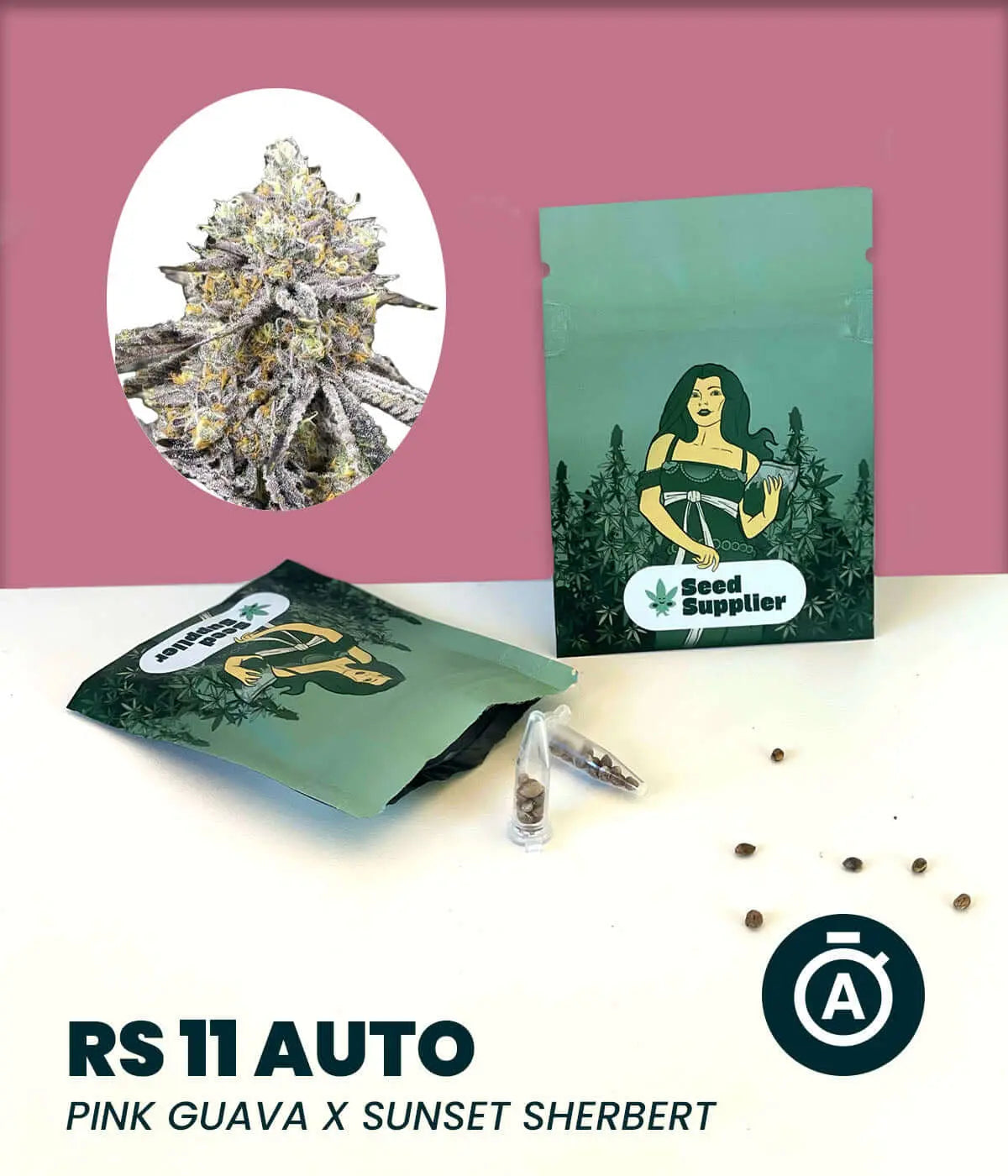 RS 11 Autoflowering - Cannabis Samen Seed Supplier