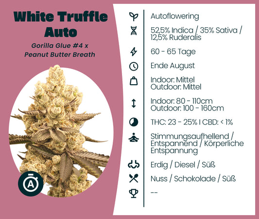 White Truffle Automatic