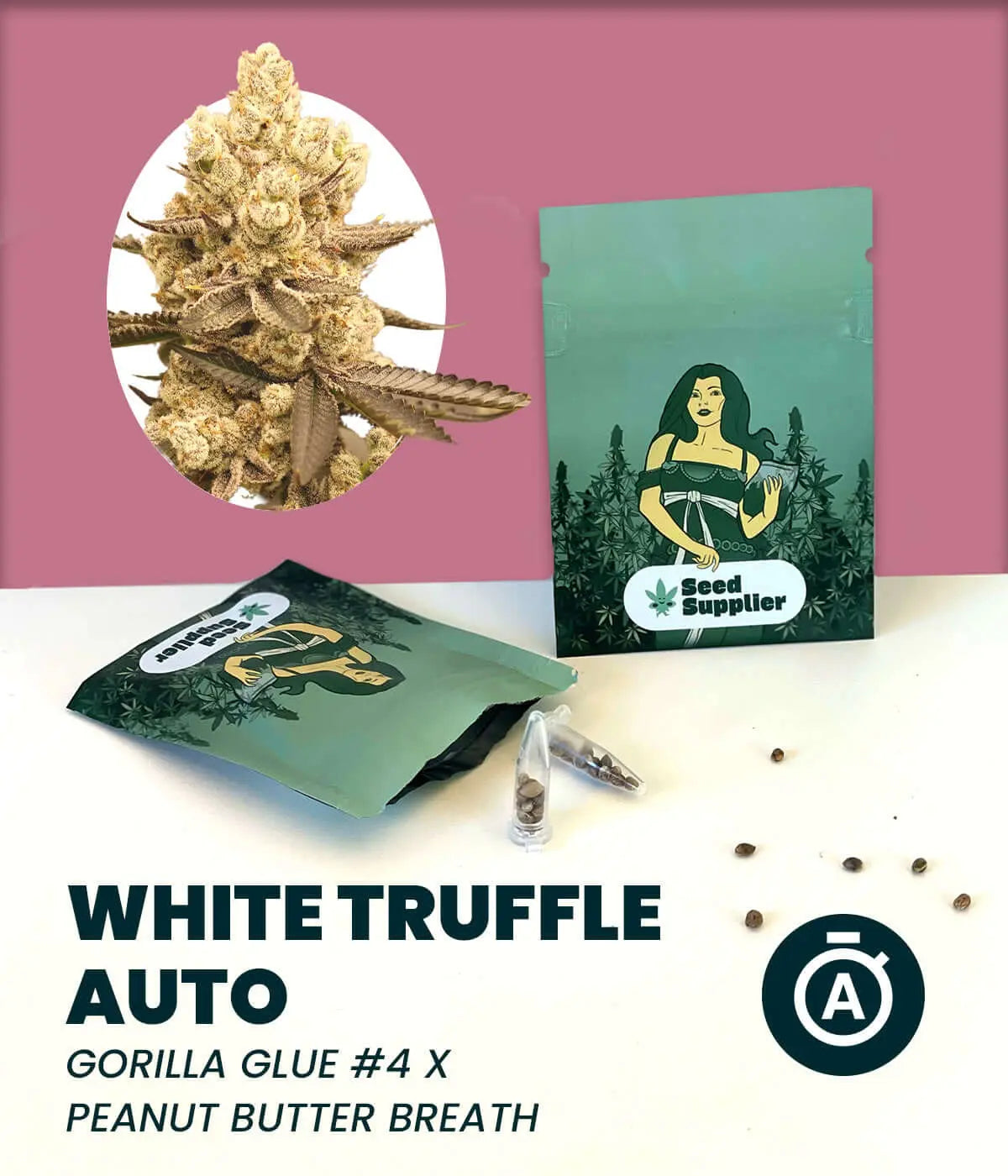 White Truffle Autoflowering - Cannabis Samen Seed Supplier