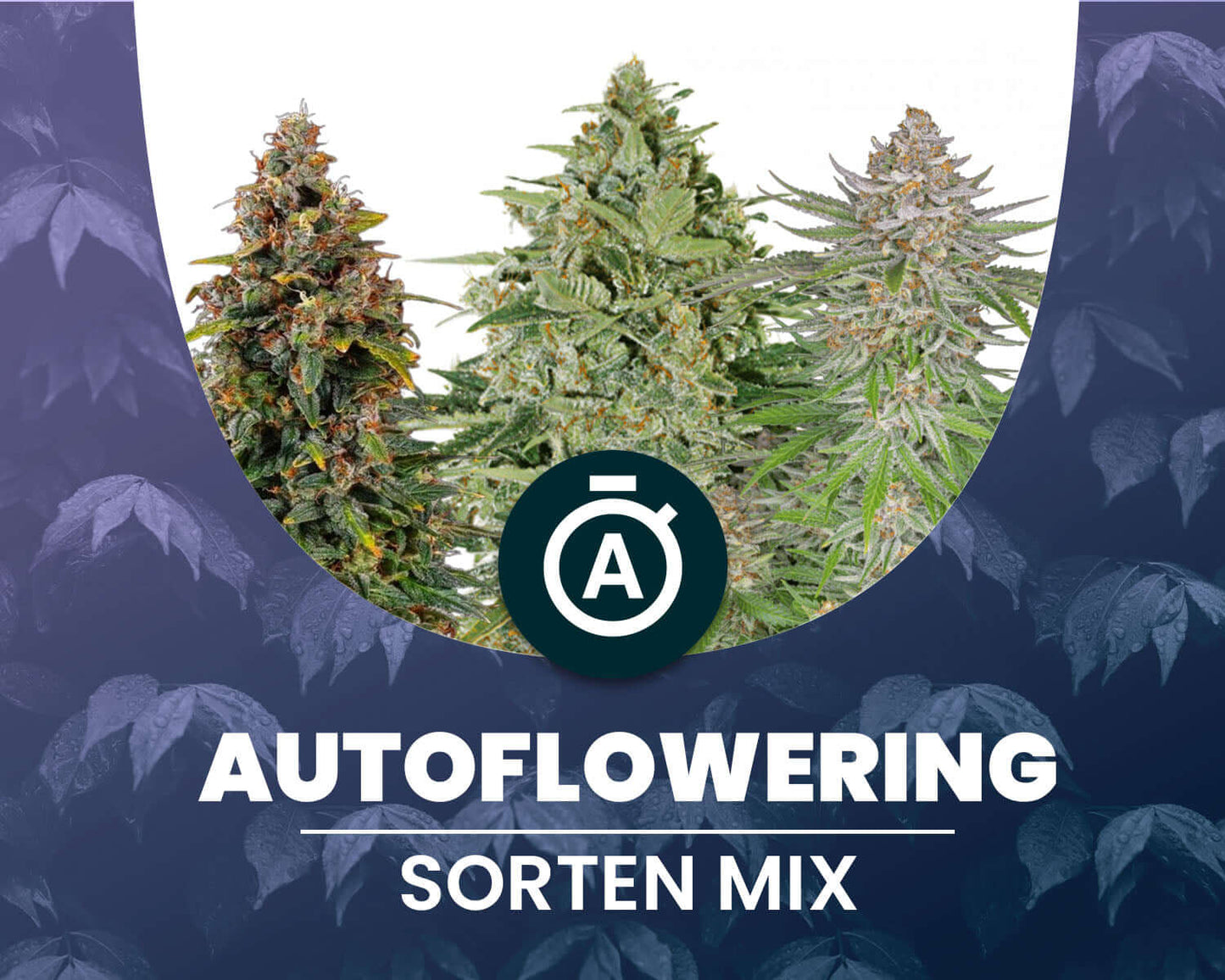 Autoflower Mix