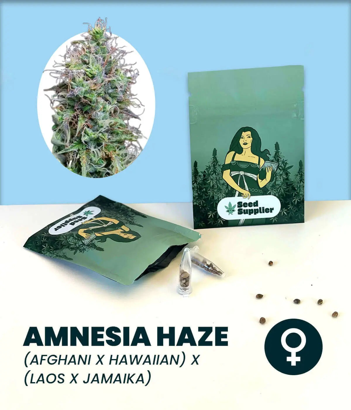 Amnesia Haze cannabis seeds packaging with strain info and cannabis plant image, promoting premium cannabis genetics.