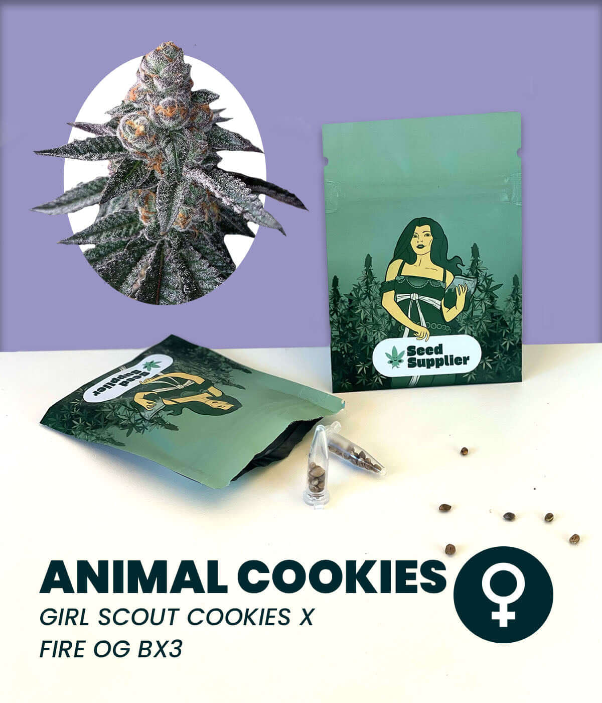 Animal Cookies cannabis seeds packaging next to cannabis plant, featuring Girl Scout Cookies and Fire OG Bx3 genetics.