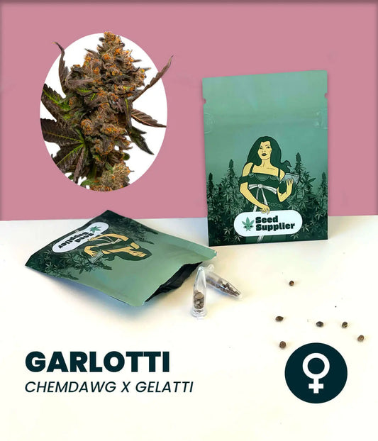 Garlotti Cannabissamen Produktdarstellung mit Blüte, Samentüten und Samen von Seed Supplier