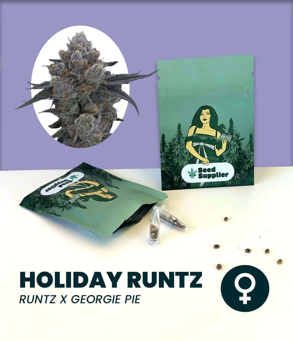 Holiday Runtz Cannabissamen von Seed Supplier mit Blütenfoto, Samentüten und einzelnen Samen auf weißem Untergrund