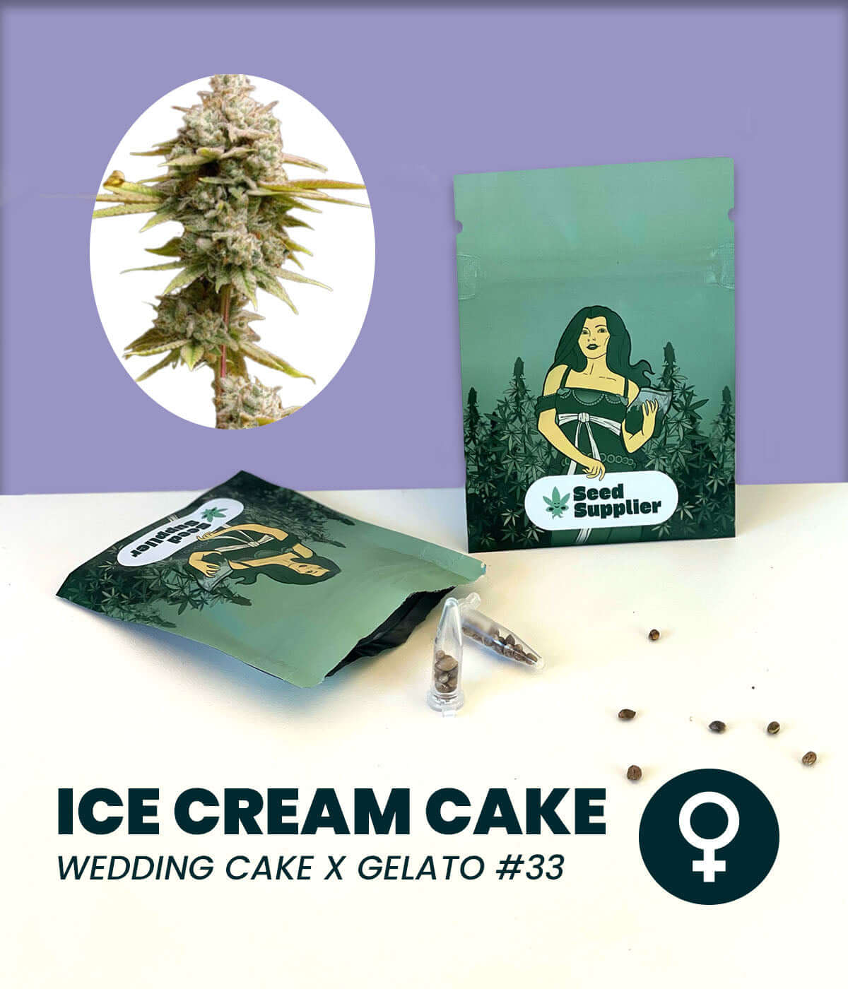 Ice Cream Cake cannabis seeds packaging featuring Wedding Cake x Gelato #33 strain and plant image.