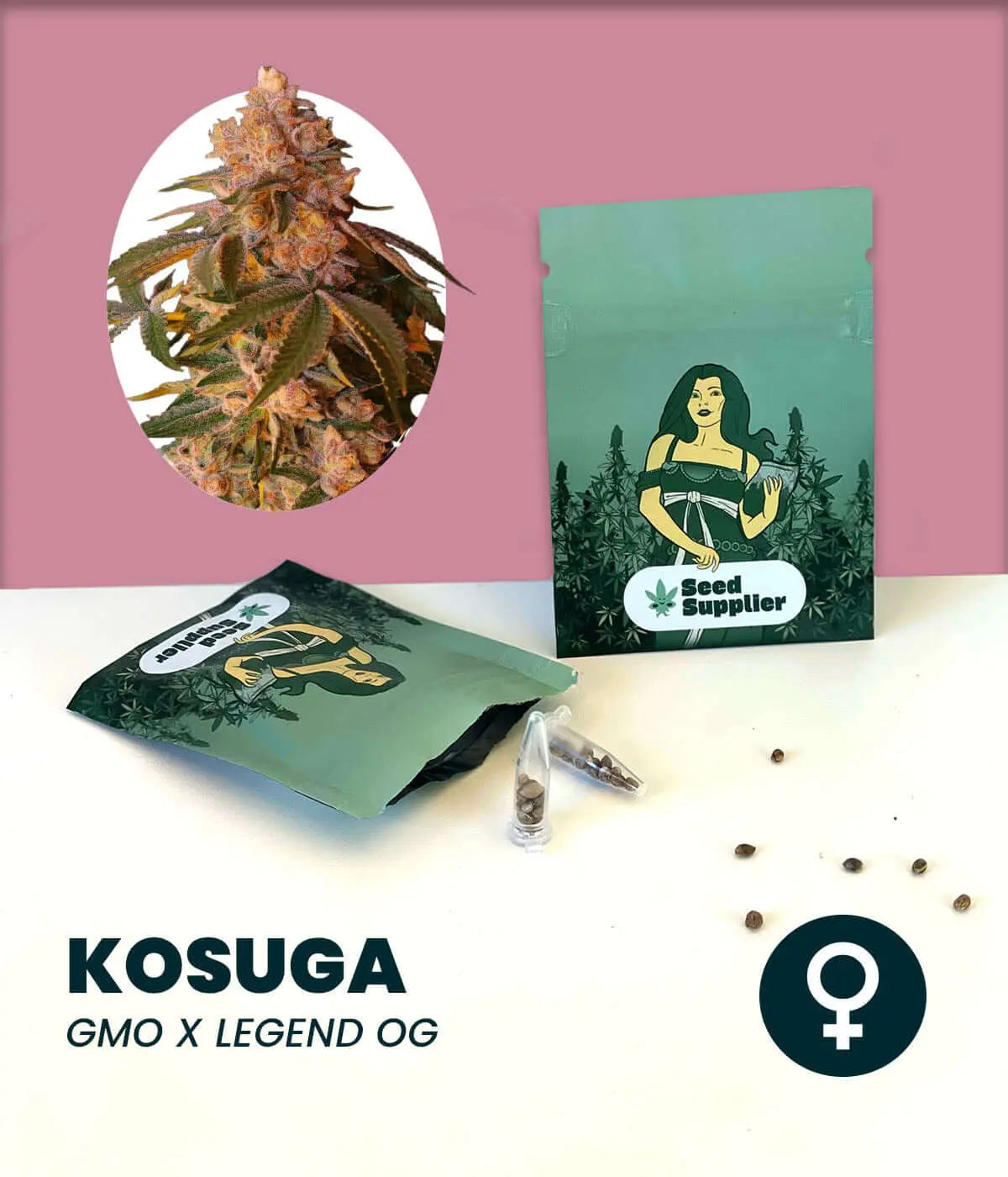 Kosuga Cannabissamen Packung mit Blütenfoto, Samenkörner und Seed Supplier Verpackung vor rosa Hintergrund