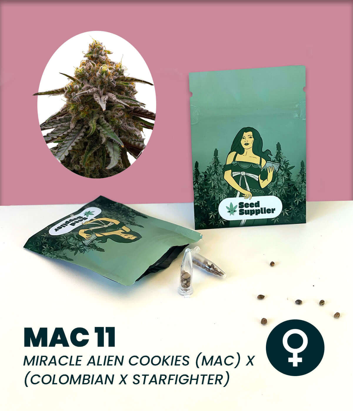 MAC 11 feminisierte Cannabis-Samen, kombiniert Miracle Alien Cookies und Colombian x Starfighter, für ausgeglichenes High.