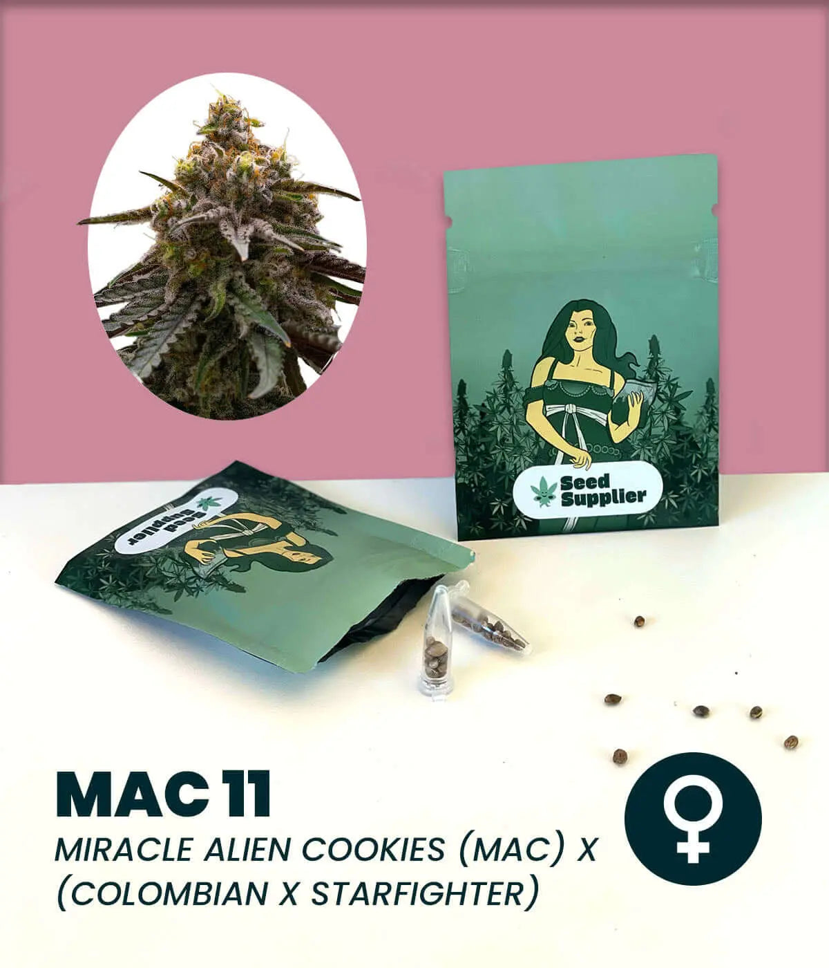 MAC 11 feminisierte Cannabis-Samen, kombiniert Miracle Alien Cookies und Colombian x Starfighter, für ausgeglichenes High.