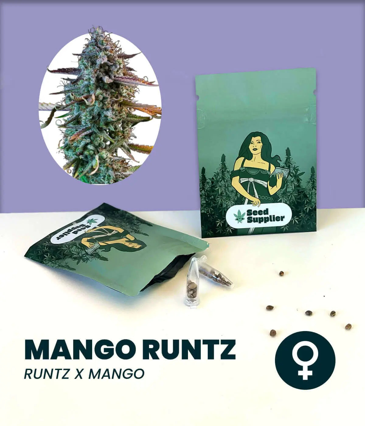 Mango Runtz Cannabissamen mit Samenpackung, Blütenfoto, Samen und Anzuchtanleitung vom Seed Supplier