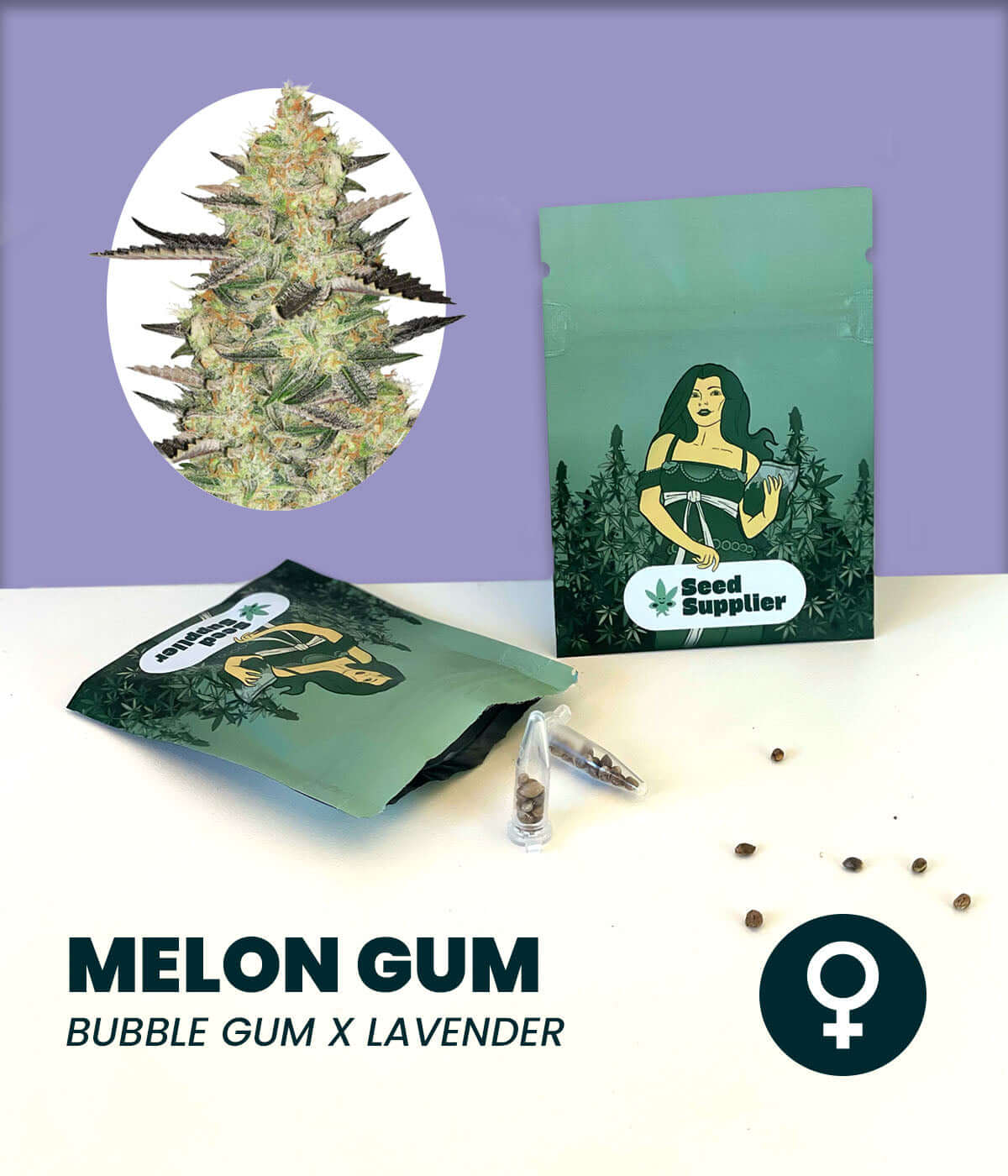 Melon Gum cannabis seeds package featuring Bubble Gum x Lavender strain with seeds on a white background.