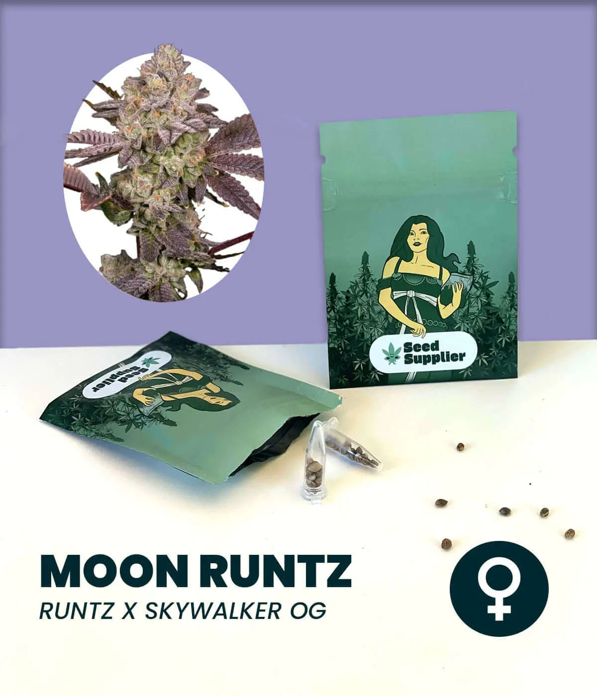 Moon Runtz Cannabissamen von Seed Supplier mit Blütenfoto, Samenpackung und einzelnen Samen auf weißem Untergrund