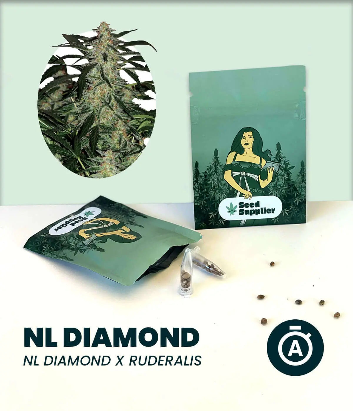 NL Diamond Automatic Cannabissamen mit Verpackung, Blütenfoto, Samen und Produktinformationen von Seed Supplier
