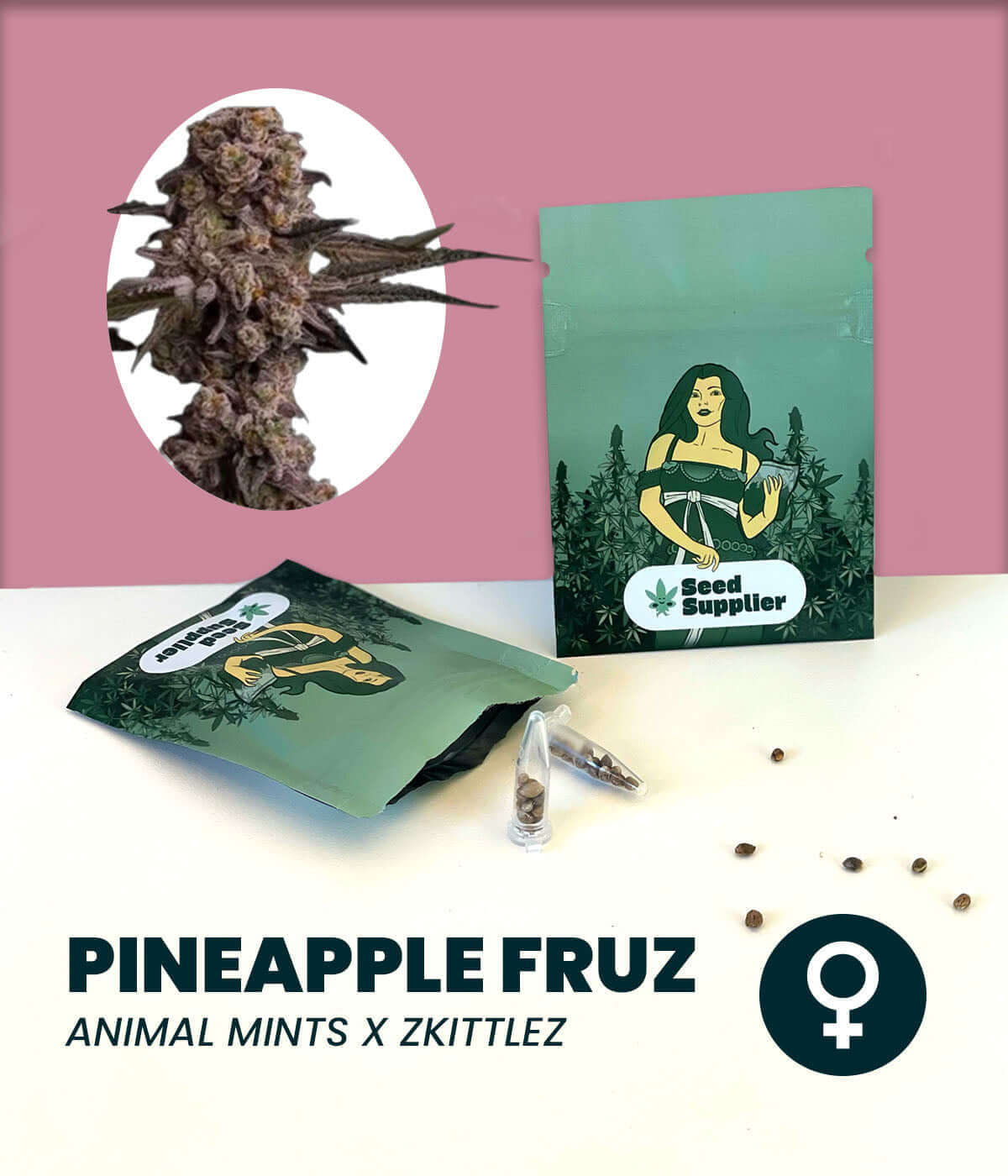 Pineapple Fruz cannabis seeds packaging featuring hybrid strain with Animal Mints and Zkittlez genetics.