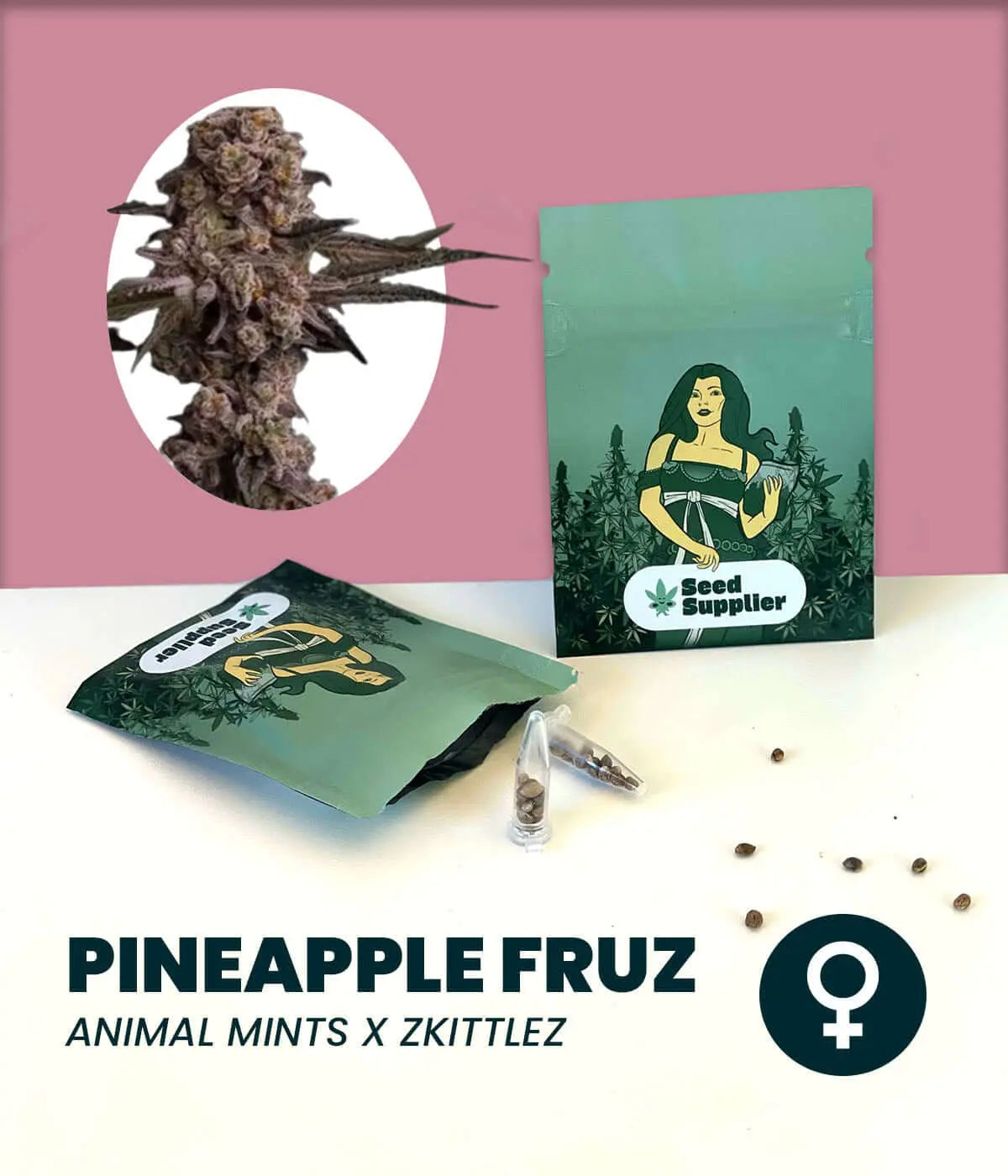 Pineapple Fruz cannabis seeds packaging featuring hybrid strain with Animal Mints and Zkittlez genetics.