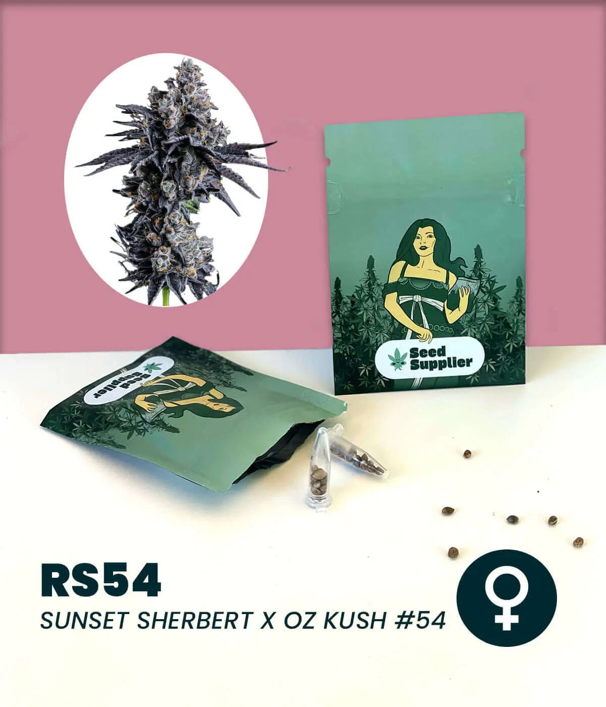 RS54 Sunset Sherbert x Oz Kush Cannabissamen mit Blütenabbildung, Samentüte und einzelnen Samen auf Produktverpackung