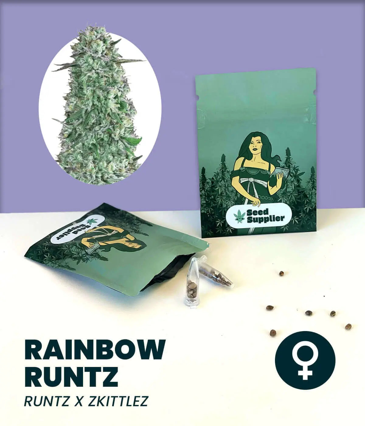 Rainbow Runtz Cannabissamen Packung mit Blütenfoto, Samen und Anleitung vom Seed Supplier