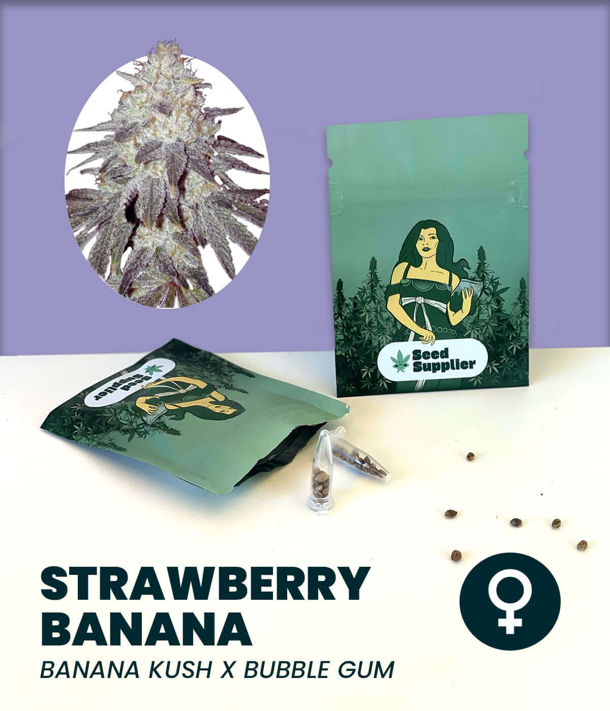 Feminized Strawberry Banana Cannabis Seeds, Indica-Sativa Hybrid, featuring packaging and seeds with Banana Kush & Bubble Gum genetics.