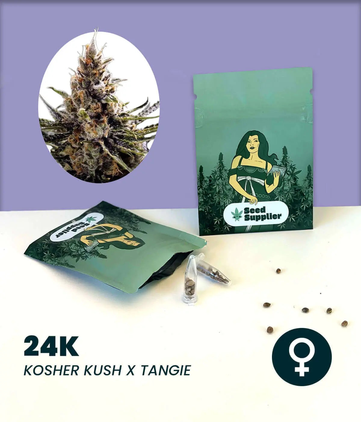 24K cannabis seeds packaging with visual of plant, featuring Kosher Kush x Tangie strain, female variety.