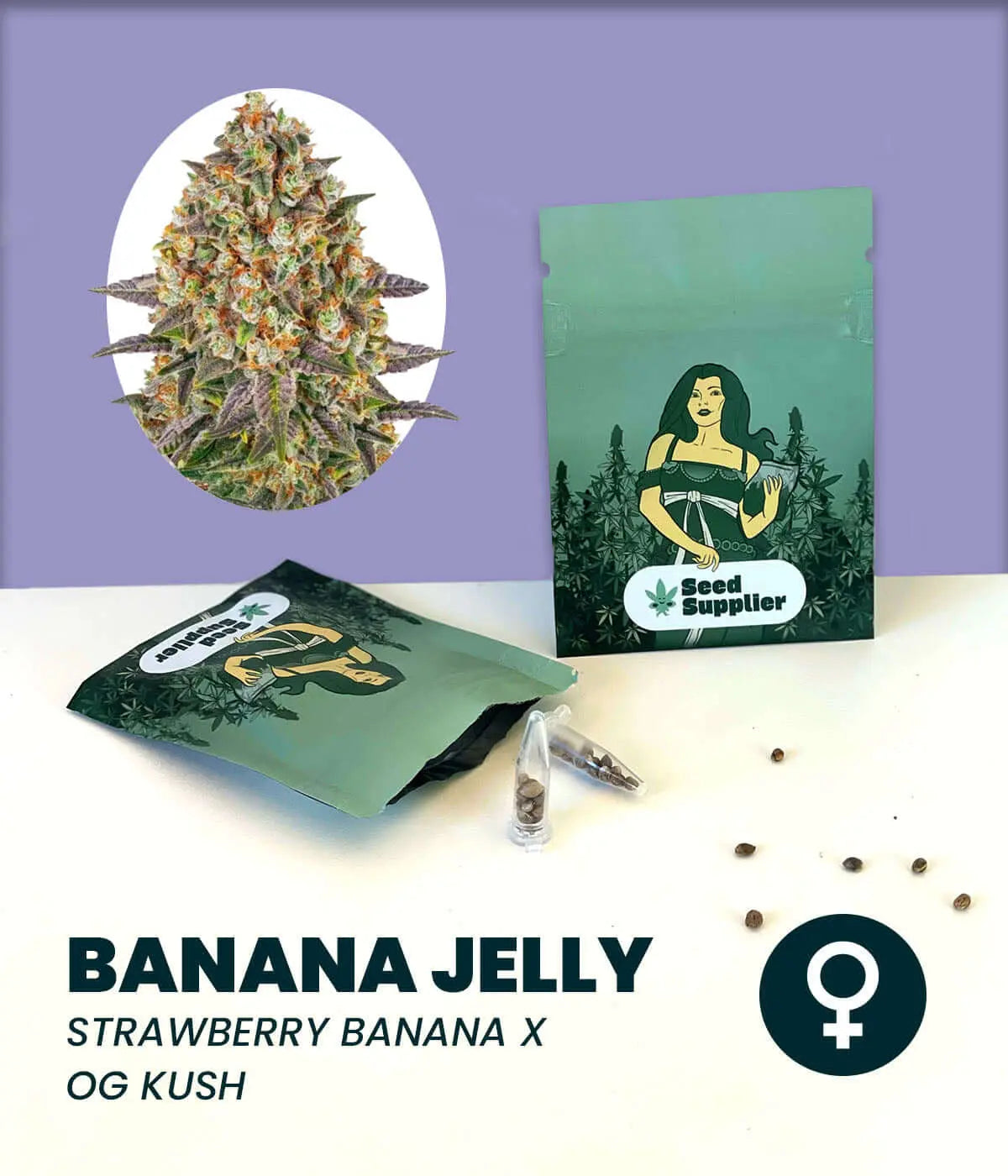 Banana Jelly cannabis seeds featuring Strawberry Banana x OG Kush strain with packaging and seeds displayed.