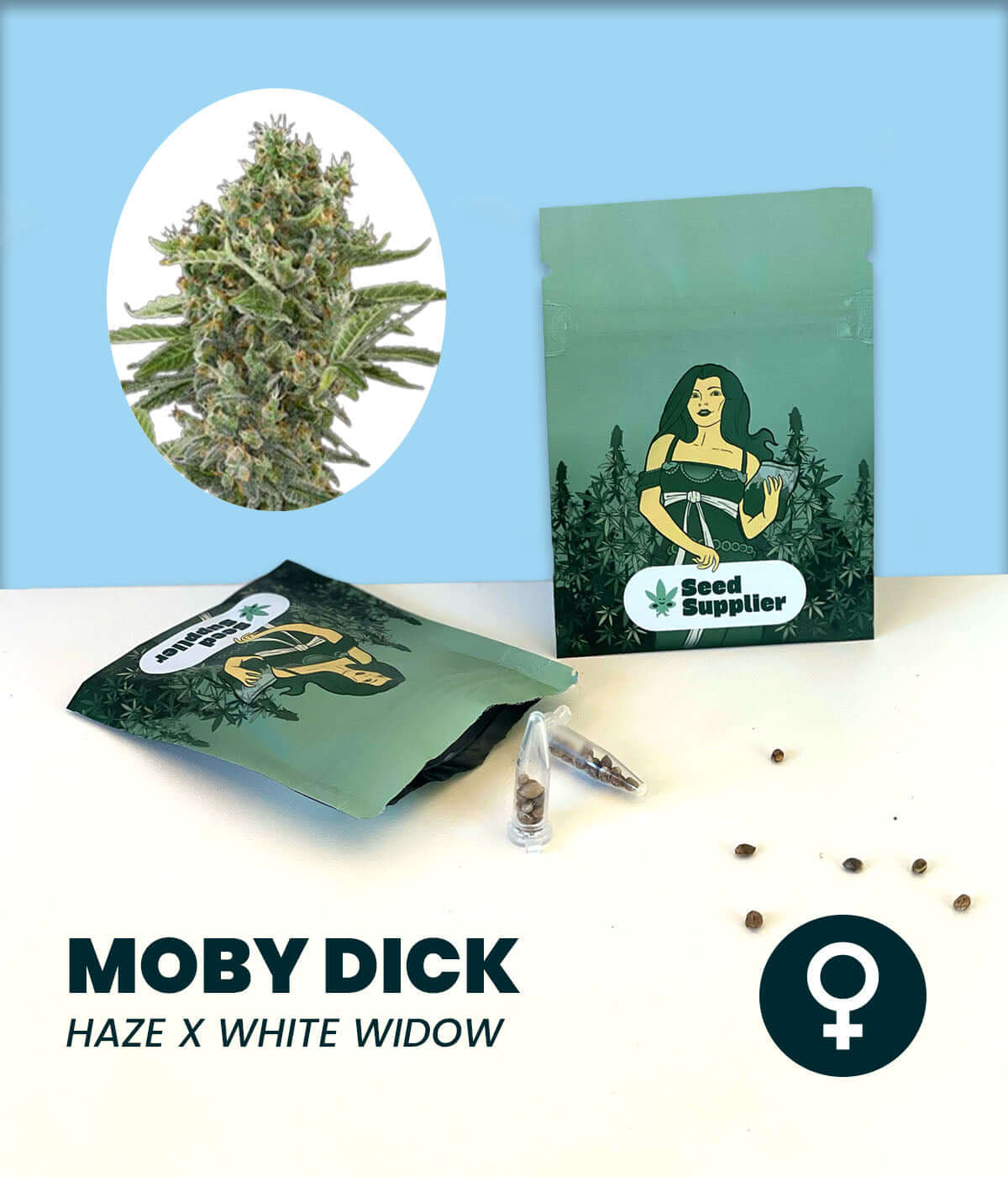 Moby Dick cannabis seeds featuring Haze and White Widow with large resinous buds.