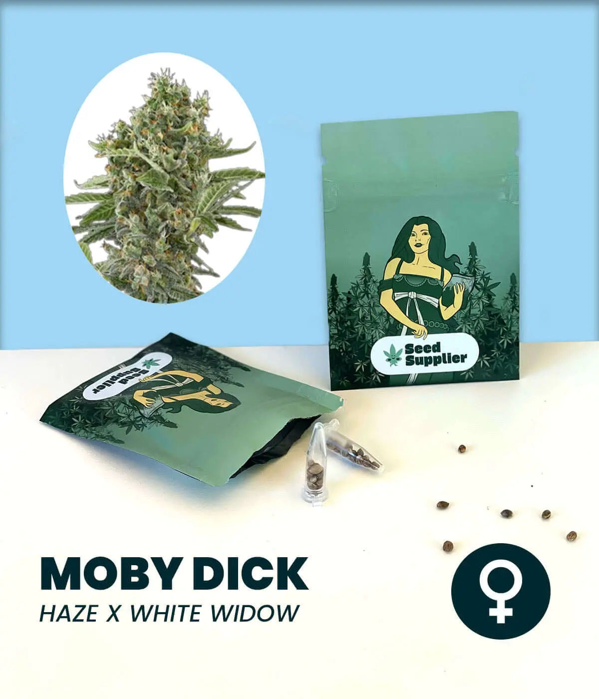 Moby Dick cannabis seeds featuring Haze and White Widow with large resinous buds.