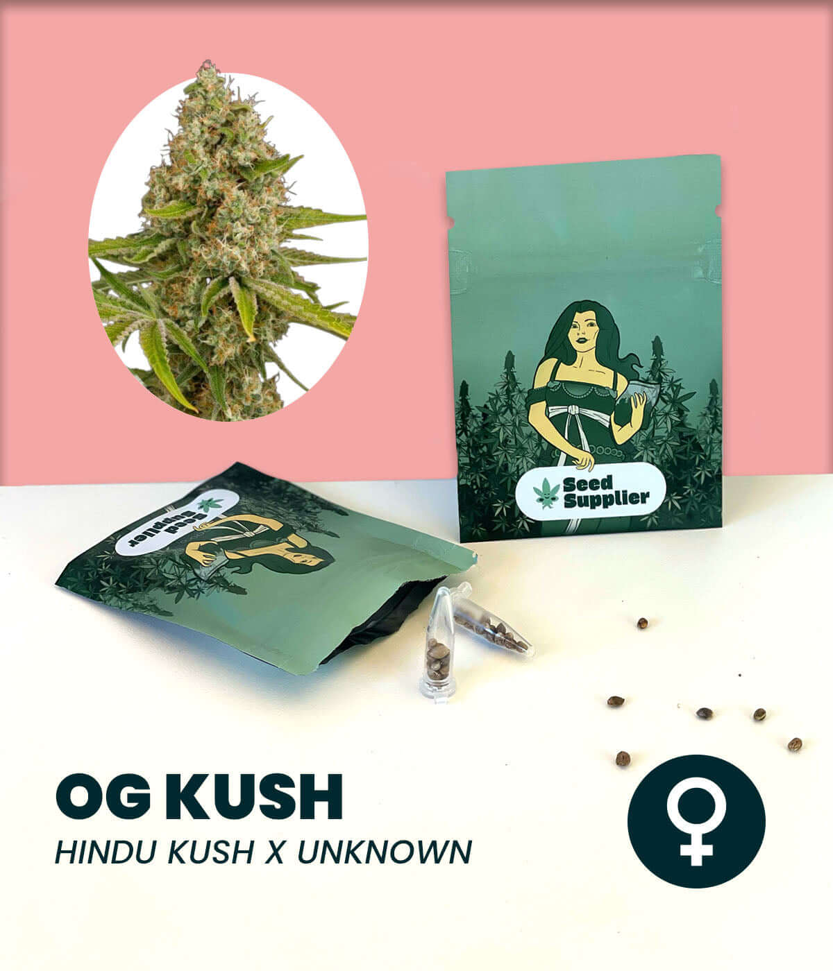 OG Kush cannabis seeds packaging featuring Hindo Kush genetics with seeds and plant image.