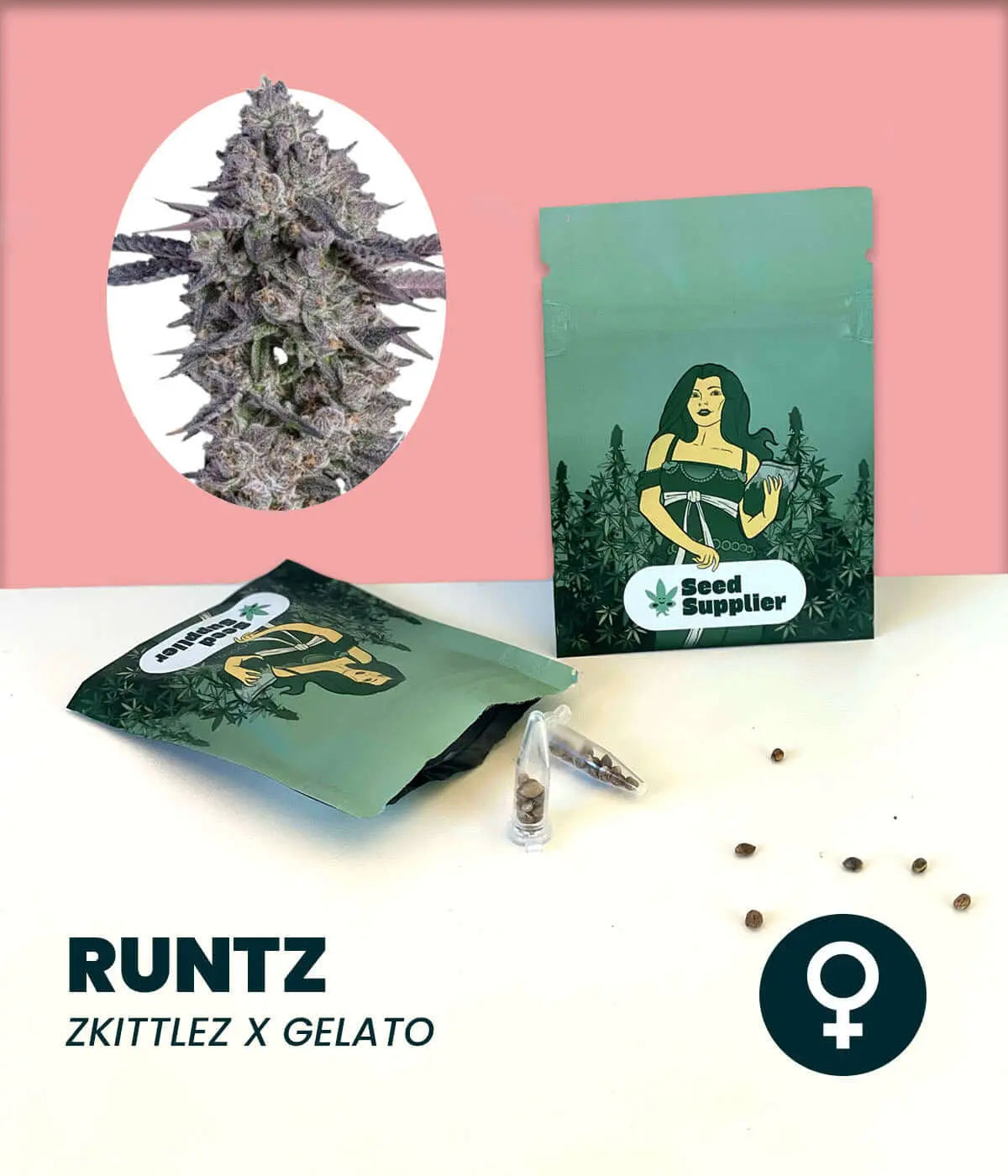 Runtz Cannabissamen von Seed Supplier, Blüte, Samentüte, Glasfläschchen und einzelne Samen auf rosa Hintergrund, weiblich