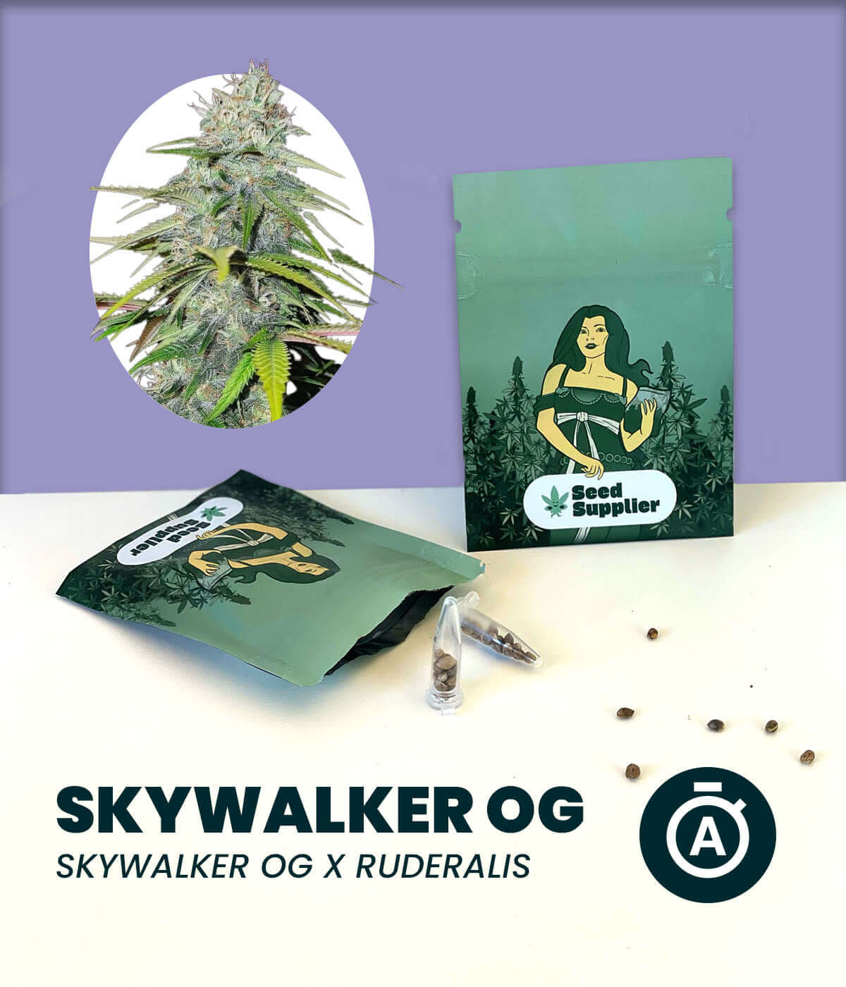 Skywalker OG Automatic cannabis seeds packaging showcasing indica hybrid with Ruderalis genetics.