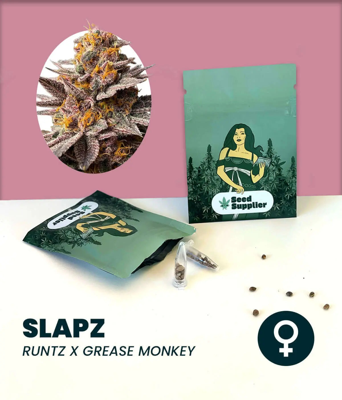Slapz cannabis seeds packaging featuring Runtz x Grease Monkey, showcasing premium quality and unique strain characteristics.