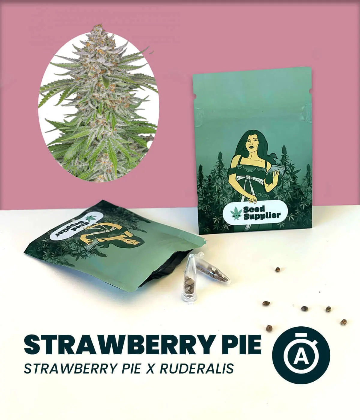 Strawberry Pie Automatic cannabis seeds package with plant image and branding.