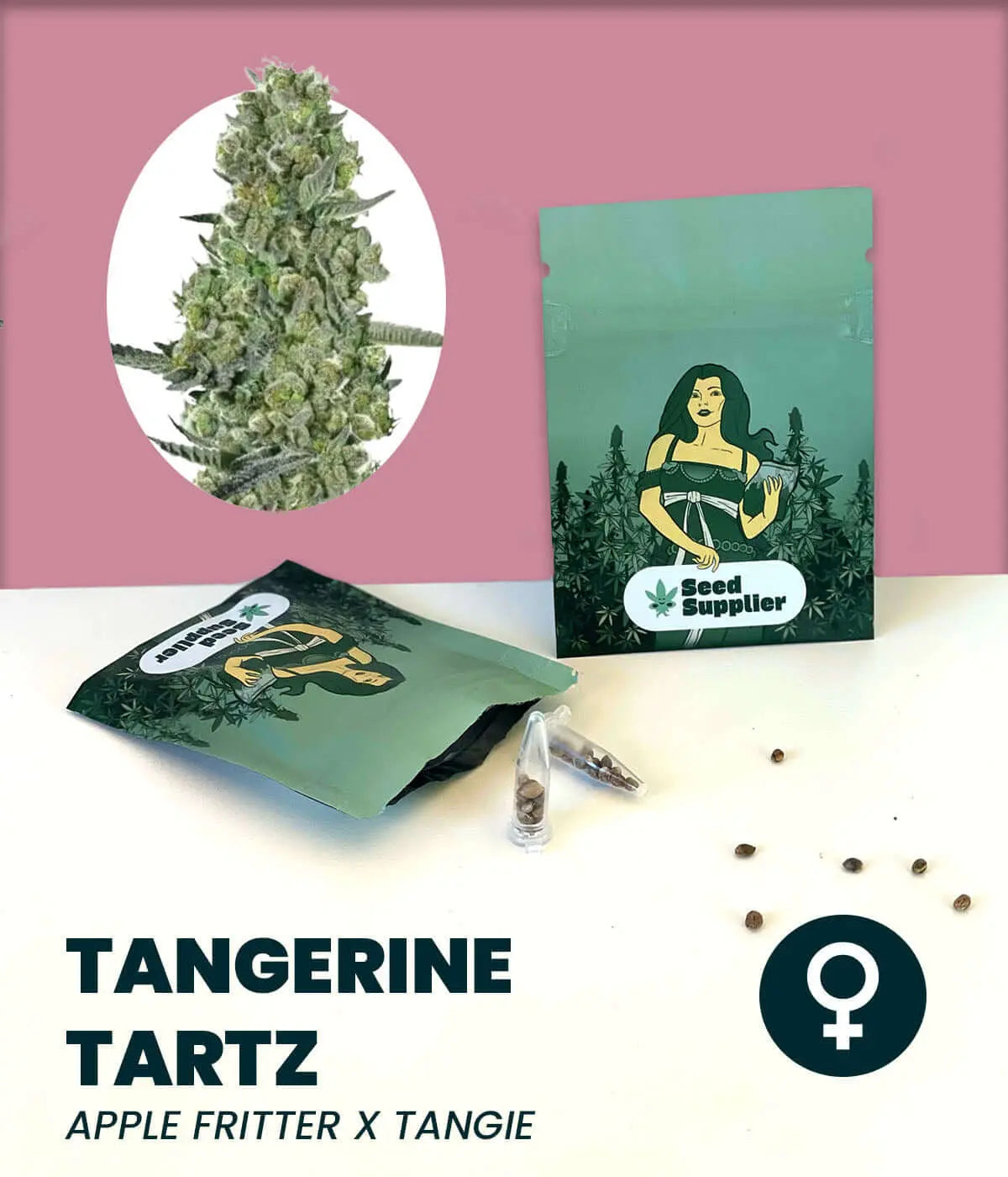 Tangerine Tartz Cannabissamen Produktbild mit Samenpackung, Blütendetail und einzelnen Samen auf rosa Hintergrund