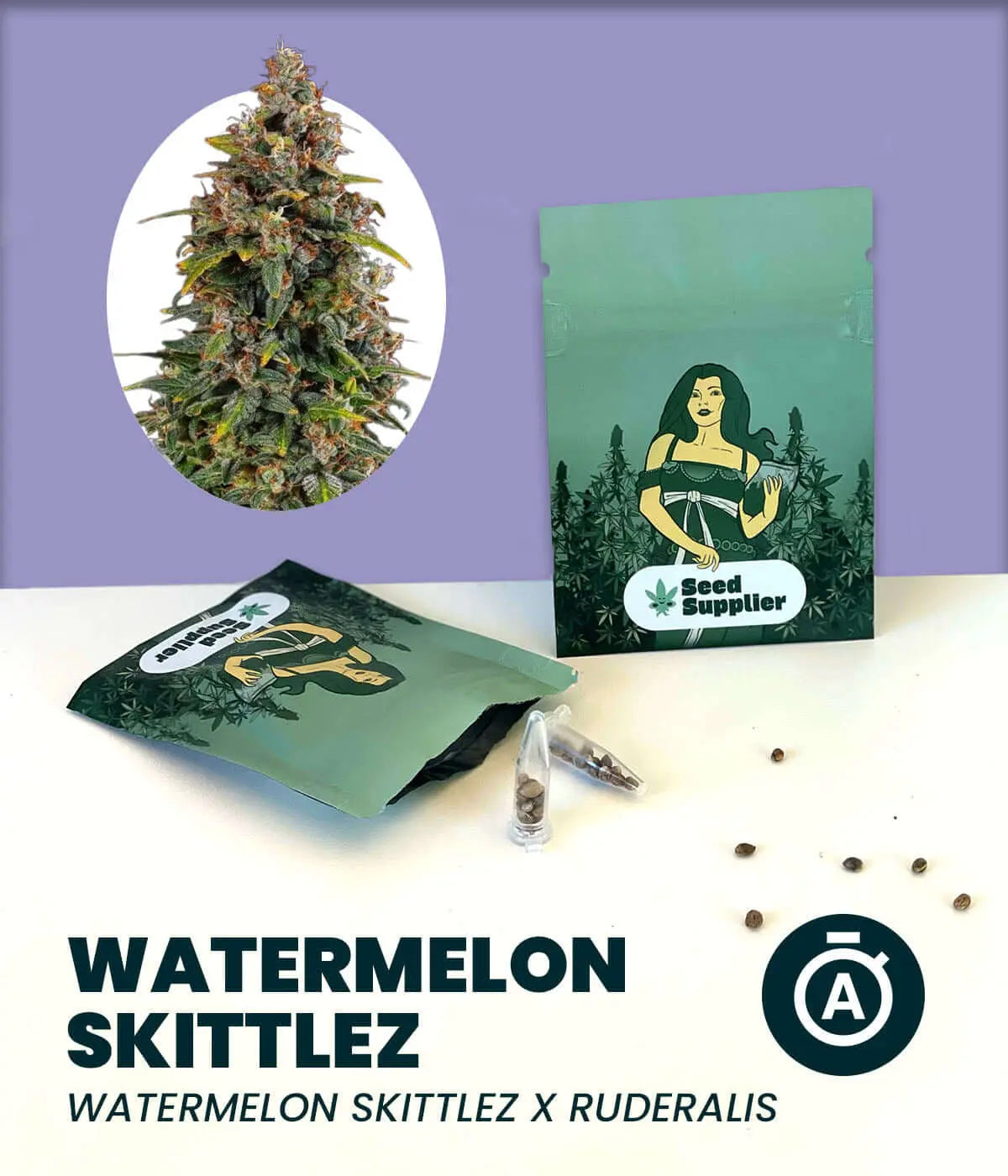Watermelon Zkittlez Automatic cannabis seeds packaging with female plant illustration and seeds on display.