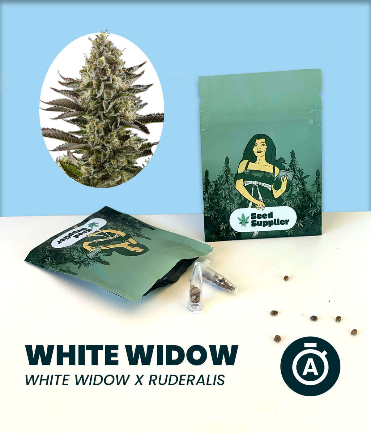 White Widow Automatic Cannabis-Samen pack with seeds and plant image, featuring White Widow and Ruderalis genetics.