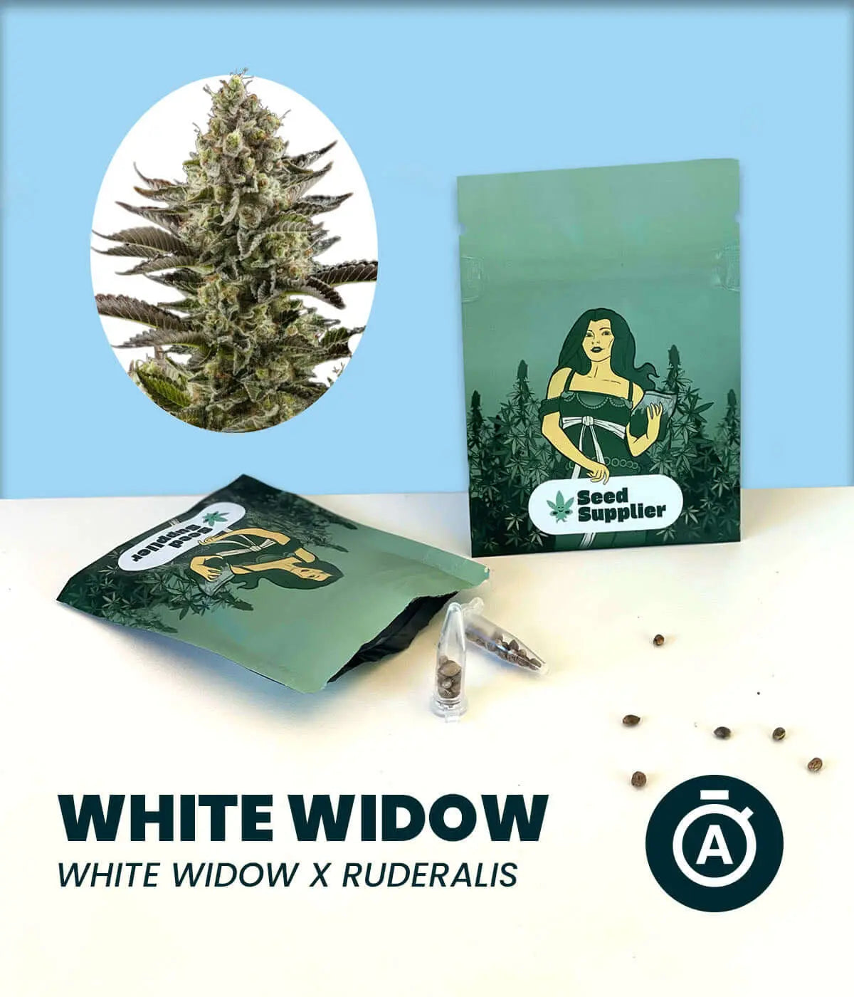 White Widow Automatic Cannabis-Samen pack with seeds and plant image, featuring White Widow and Ruderalis genetics.