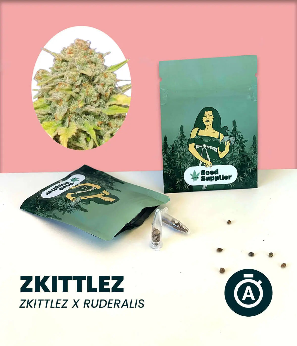 Zkittlez Automatic Cannabissamen von Seed Supplier mit Blüten, Samenpackung und Einzelsamen auf rosa Hintergrund