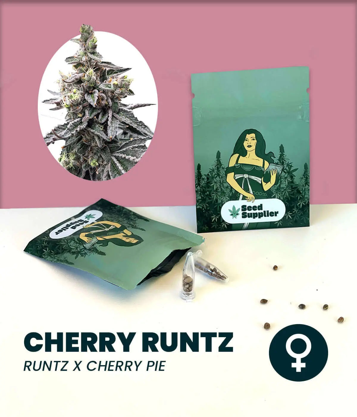 Cherry Runtz Cannabissamen Packung mit Blütenfoto, Samentüte und einzelnen Samen auf weißem Untergrund vor rosa Hintergrund