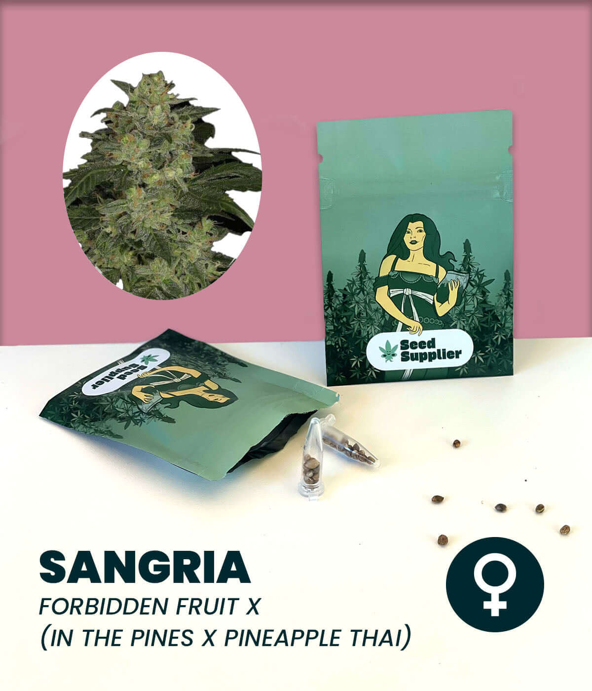 Sangria cannabis seeds packaging featuring Forbidden Fruit and Pineapple Thai genetics, ideal for growers.
