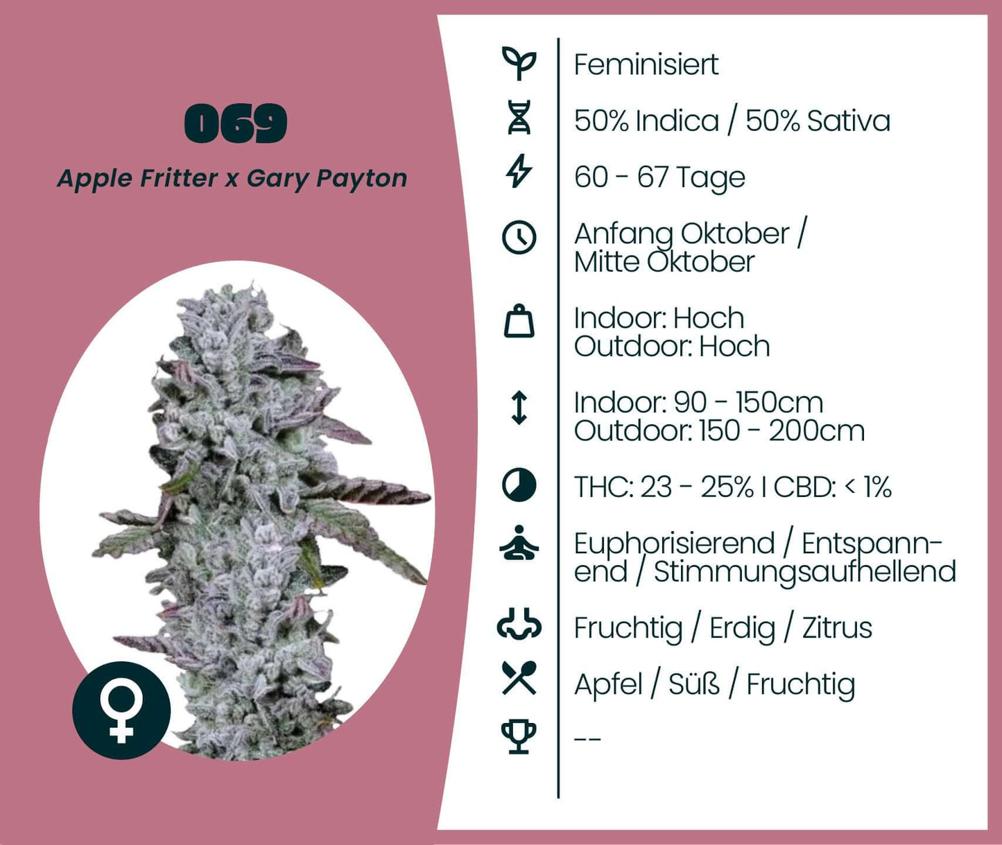 Feminized cannabis strain 069, Indica/Sativa mix, Apple Fritter x Gary Payton, with high THC content and fruity flavors.