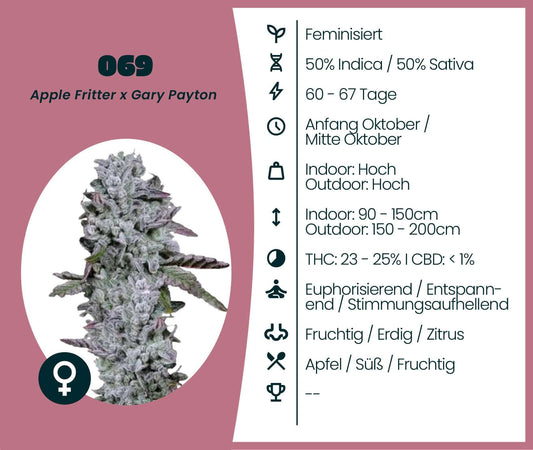Feminized cannabis strain 069, Indica/Sativa mix, Apple Fritter x Gary Payton, with high THC content and fruity flavors.