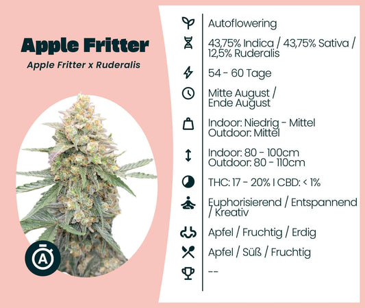 Apple Fritter Automatic cannabis seeds info chart with growth details and effects.