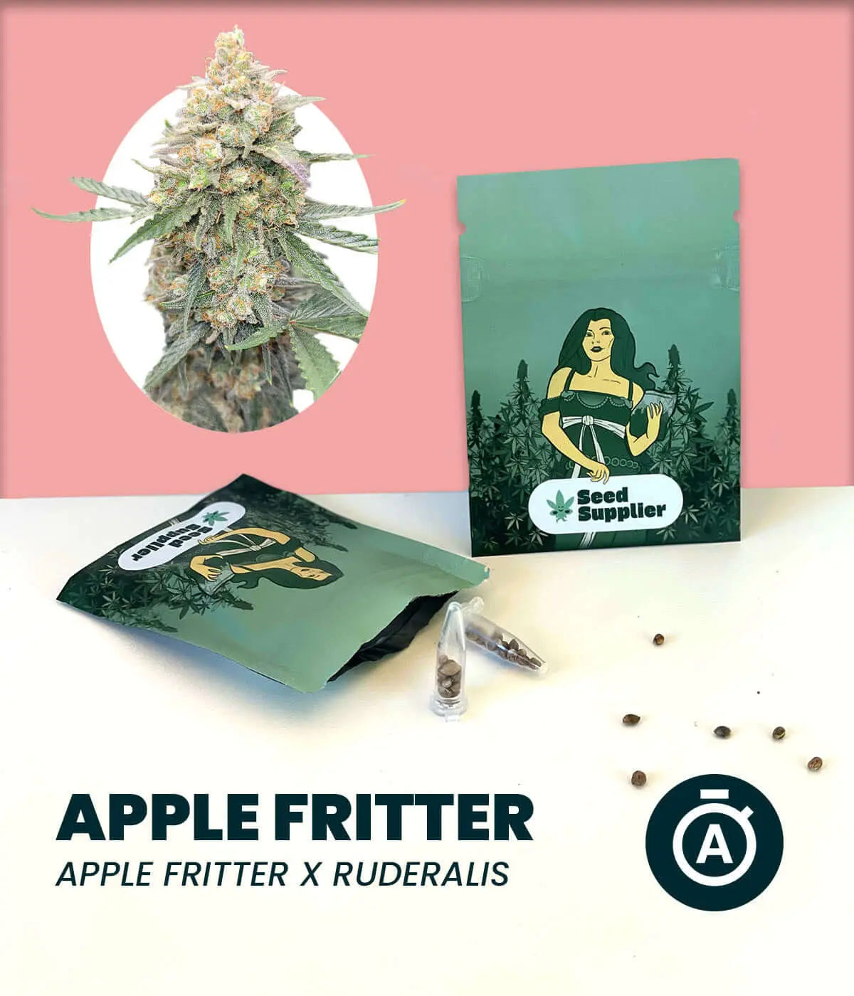 Apple Fritter Automatic Cannabissamen von Seed Supplier mit Blüte, Samentüte und einzelnen Samen auf rosa Hintergrund