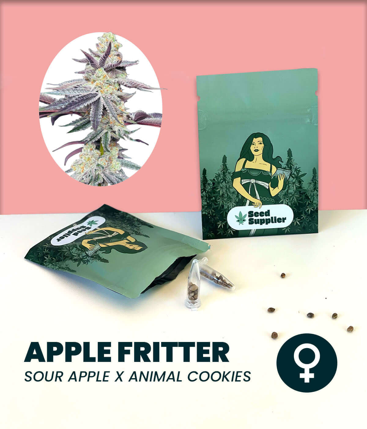 Apple Fritter cannabis seeds packaging, featuring Sour Apple and Animal Cookies genetics with female symbol.